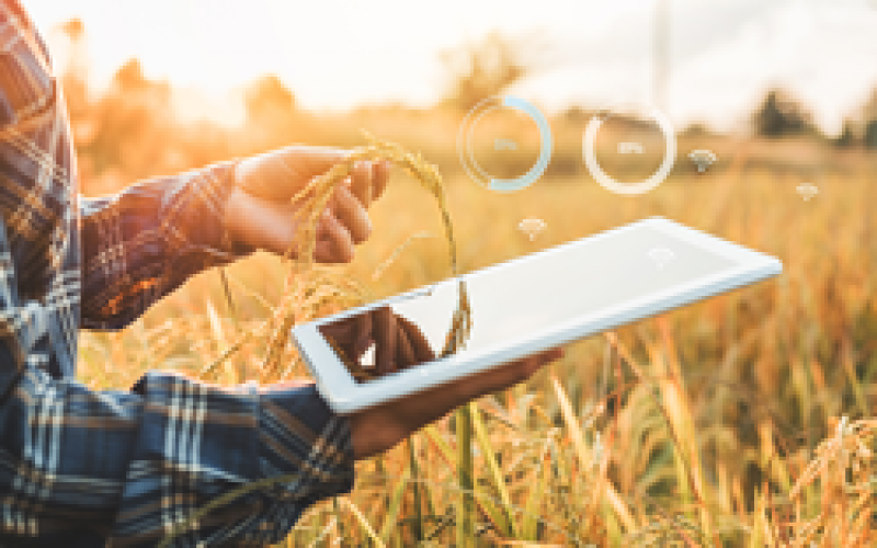 智能節(jié)水灌溉監(jiān)控系統(tǒng)